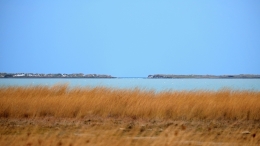 Λιμνοθάλασσα Αλυκή - Lagoon Aliki - Lagune Aliki